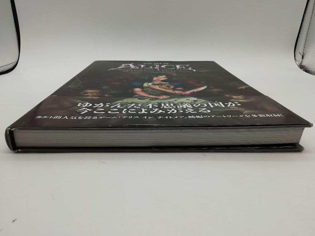 アートオブアリスマッドネスリターンズ　3-0605-1