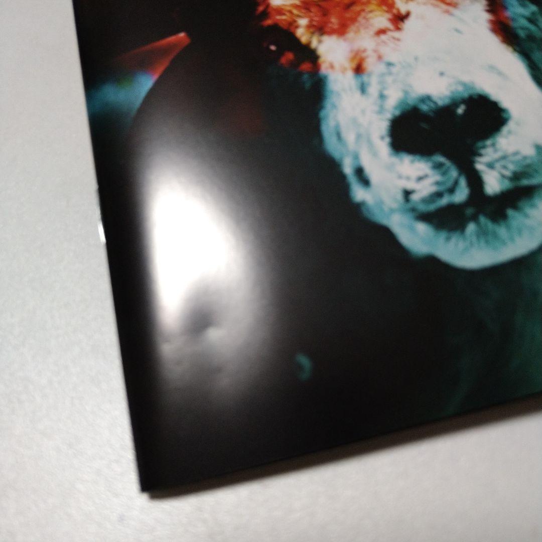 スリップノット DAY OF THE GUSANO DVD