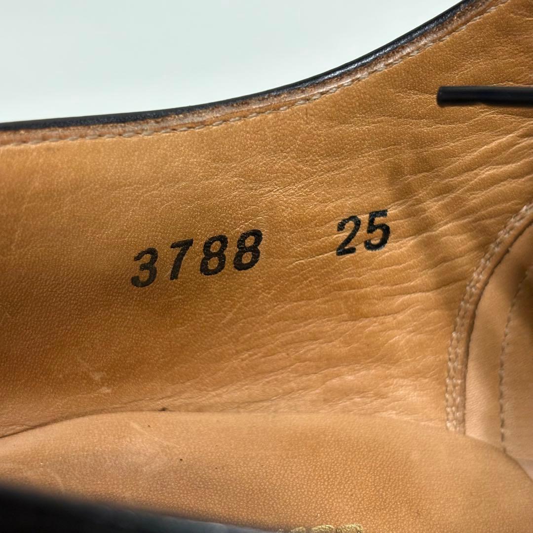 スコッチグレイン ビジネスシューズ ストレートチップ 3788 革靴 25cm