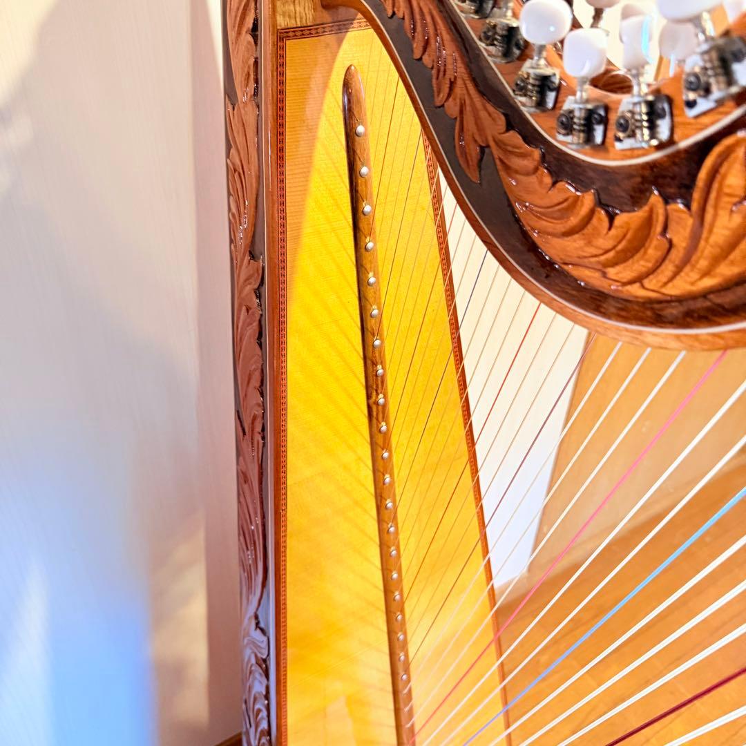 【送料無料】アルパ ハープ arpa harpa 撥弦楽器