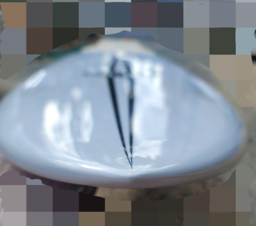 PLACEBO 　プレセボ　 RNF 　SNAPPER　 スナッパー　フィン付き