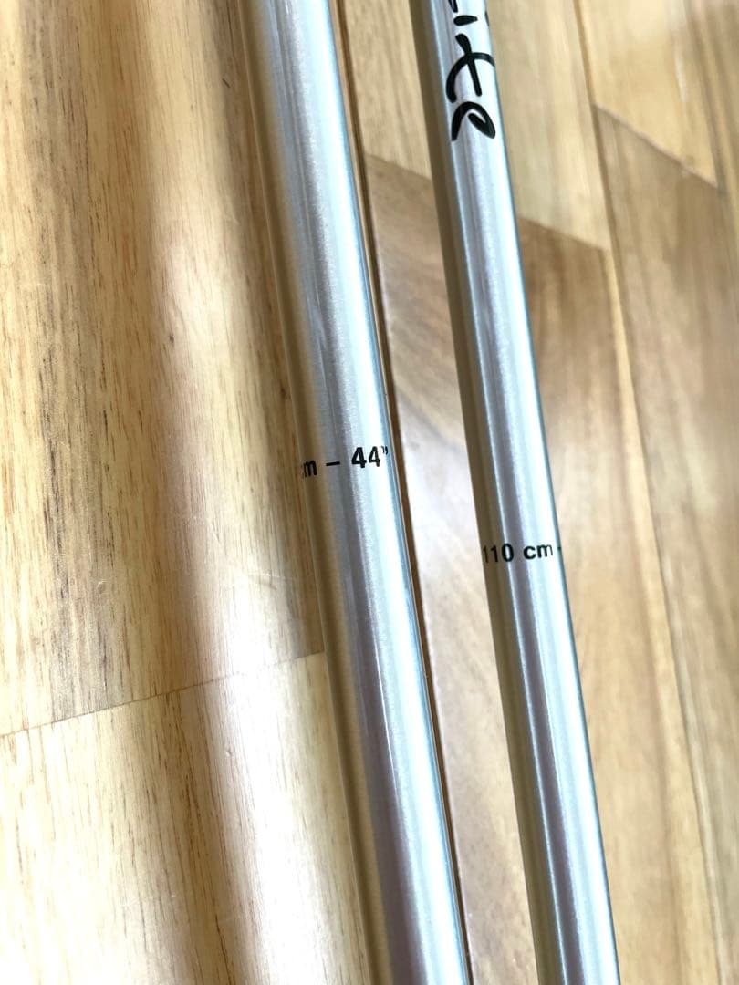 LEKI レキ スキー ストック チタン トリガーS ART073740110