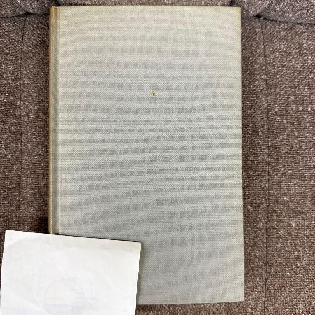 洋書 The Pattern of English