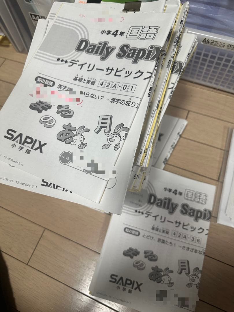 サピックス2022年小学4年生 全年デイリー
