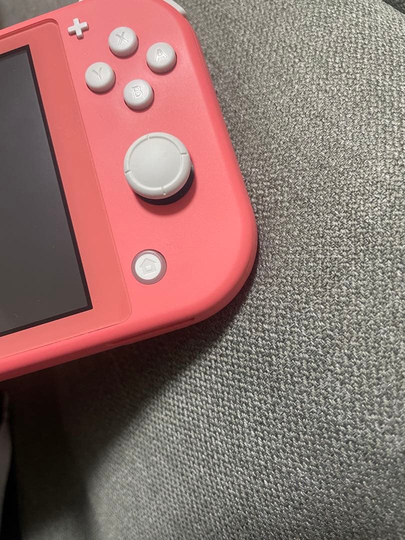 Nintendo Switch Lite ピンク 本体 + ケース