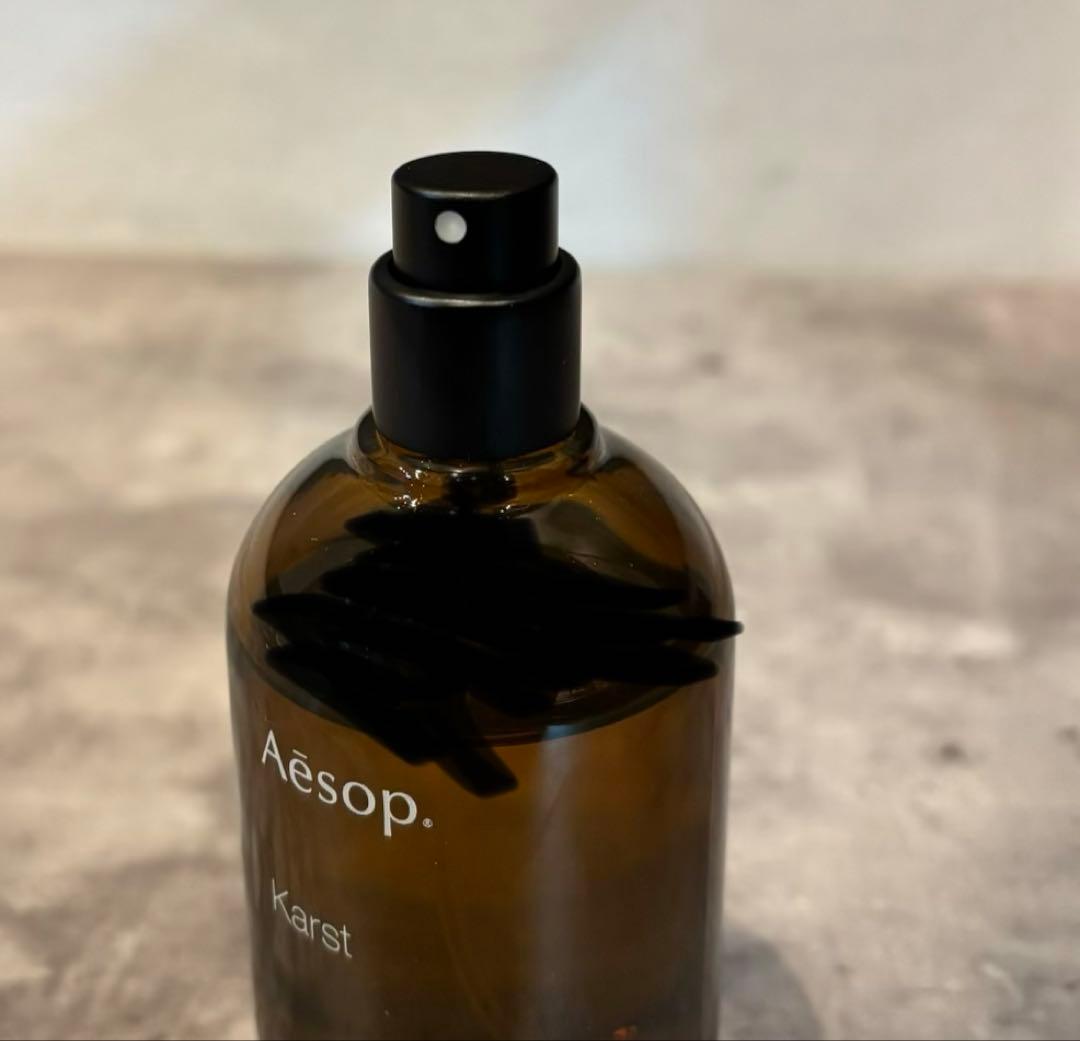 国内正規品 Aesop Karst イソップ カースト