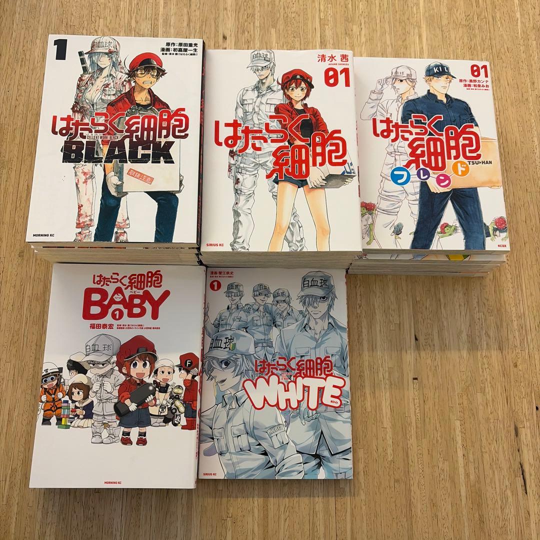 働く細胞　23冊セット