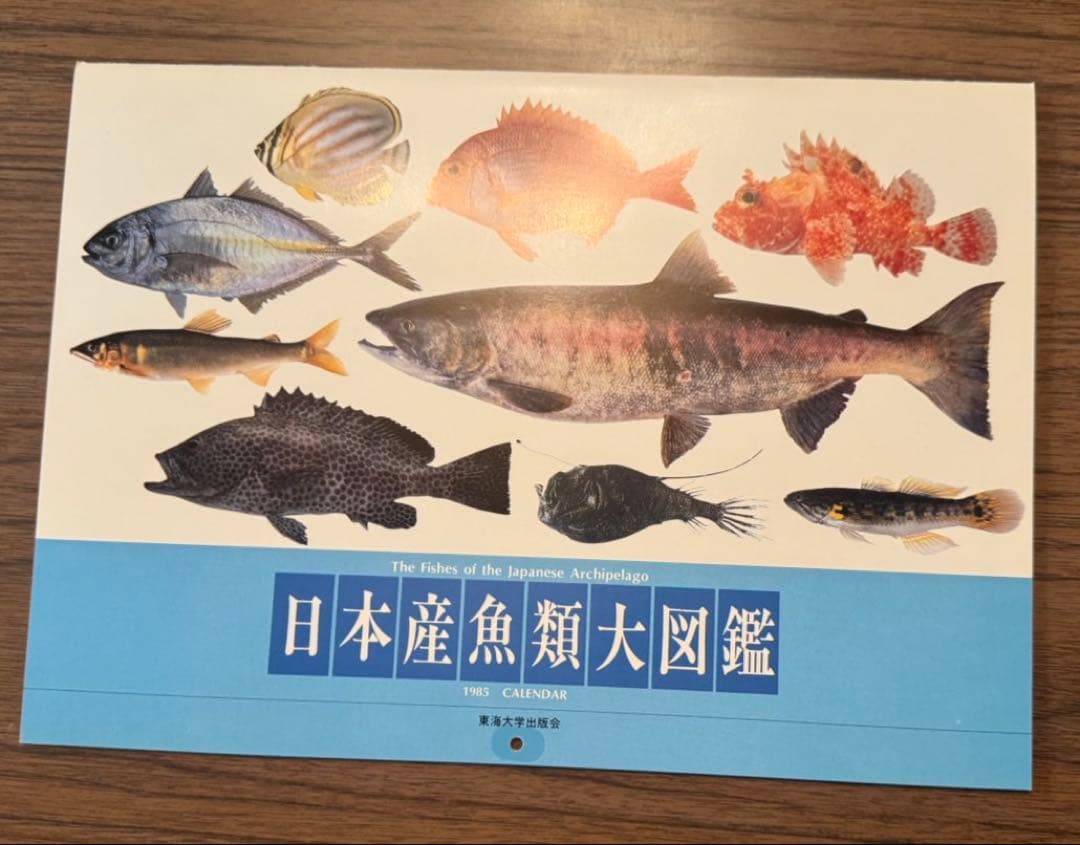 日本産魚類大図鑑