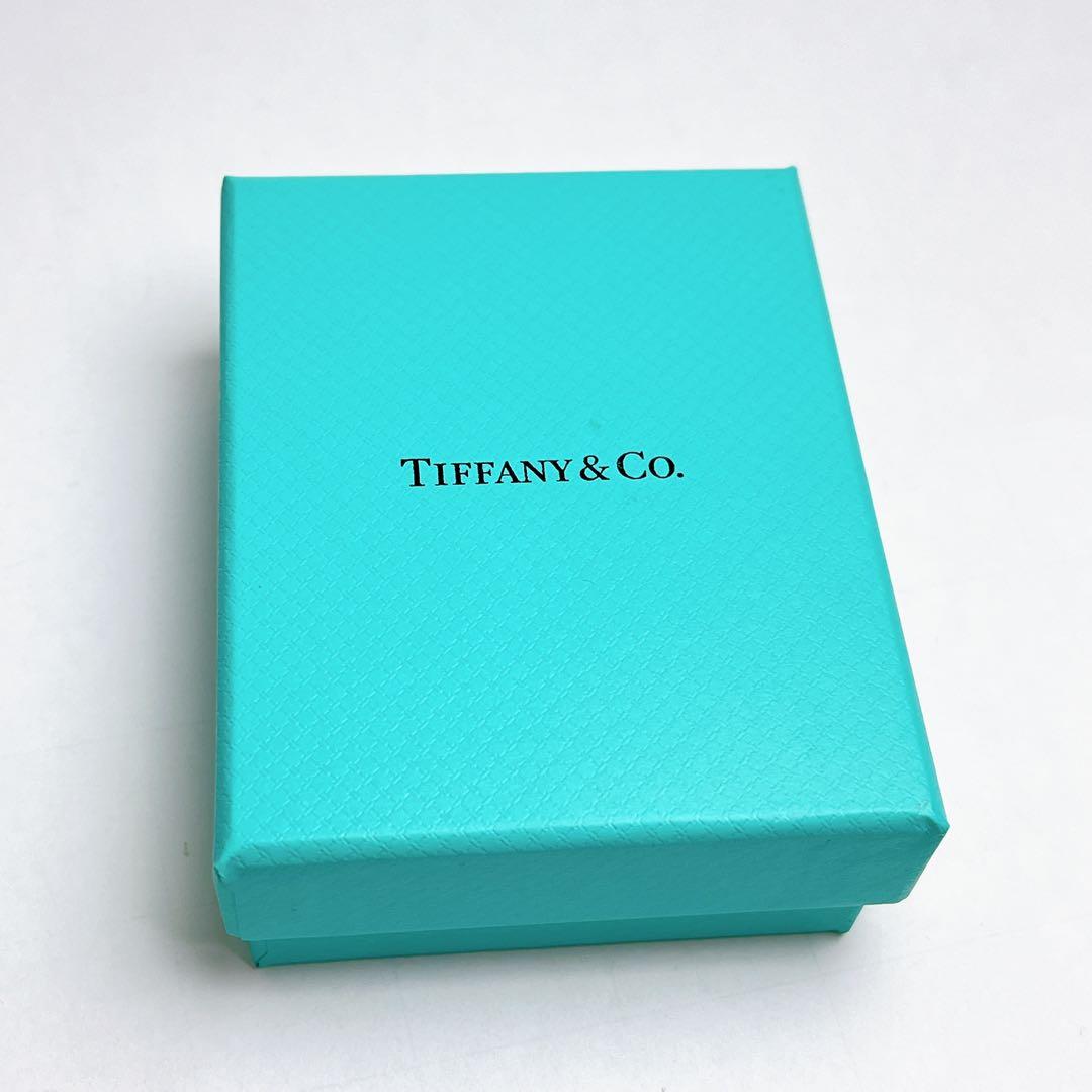 cynical　2月12日まで