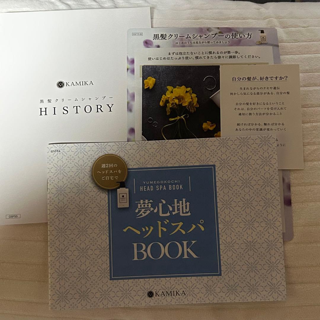 【未使用】KAMIKA オールインワンクリームシャンプー 400g 2本セット