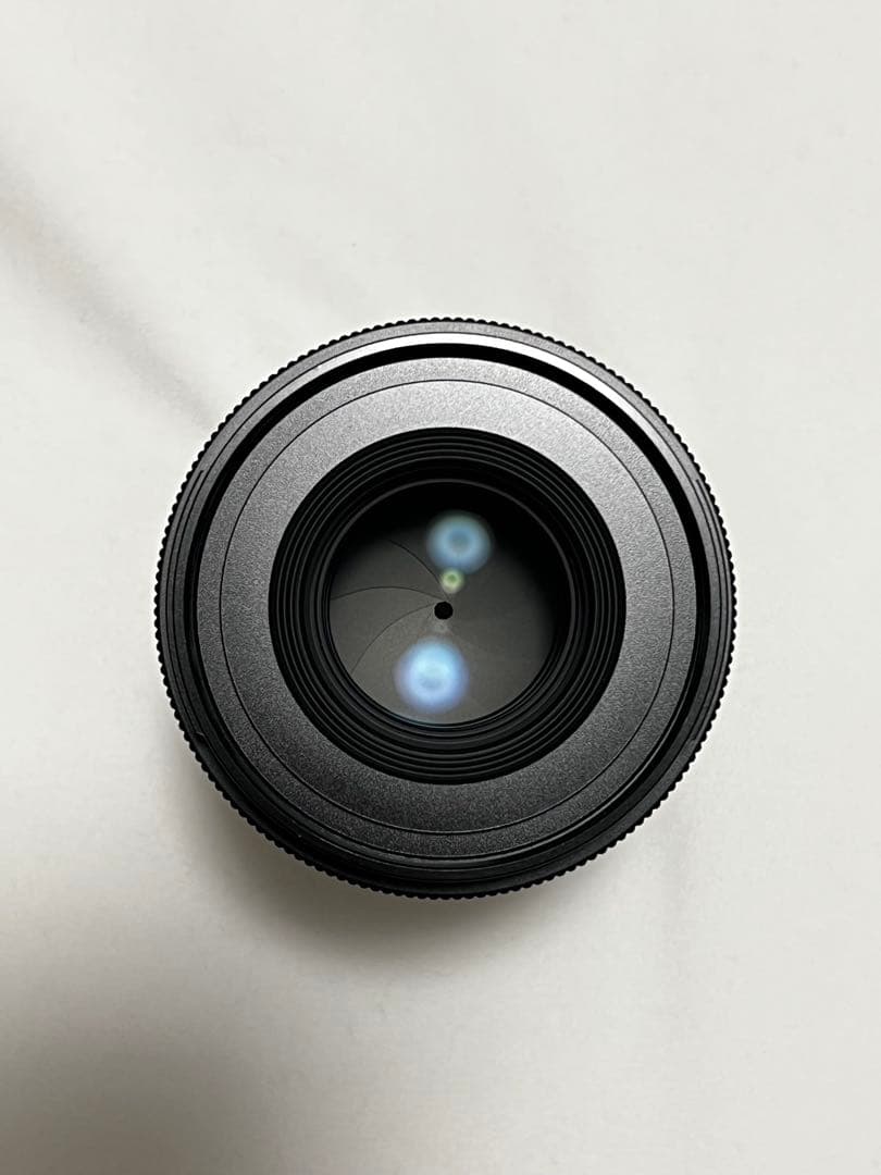 sigma 65mm f2 DG DN Sony Eマウント 作例有