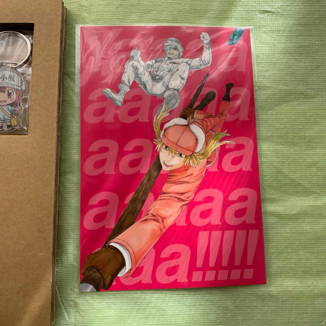 はたらく細胞 全巻セット はたらく細菌 アクリルキーホルダー 公式ファンブック