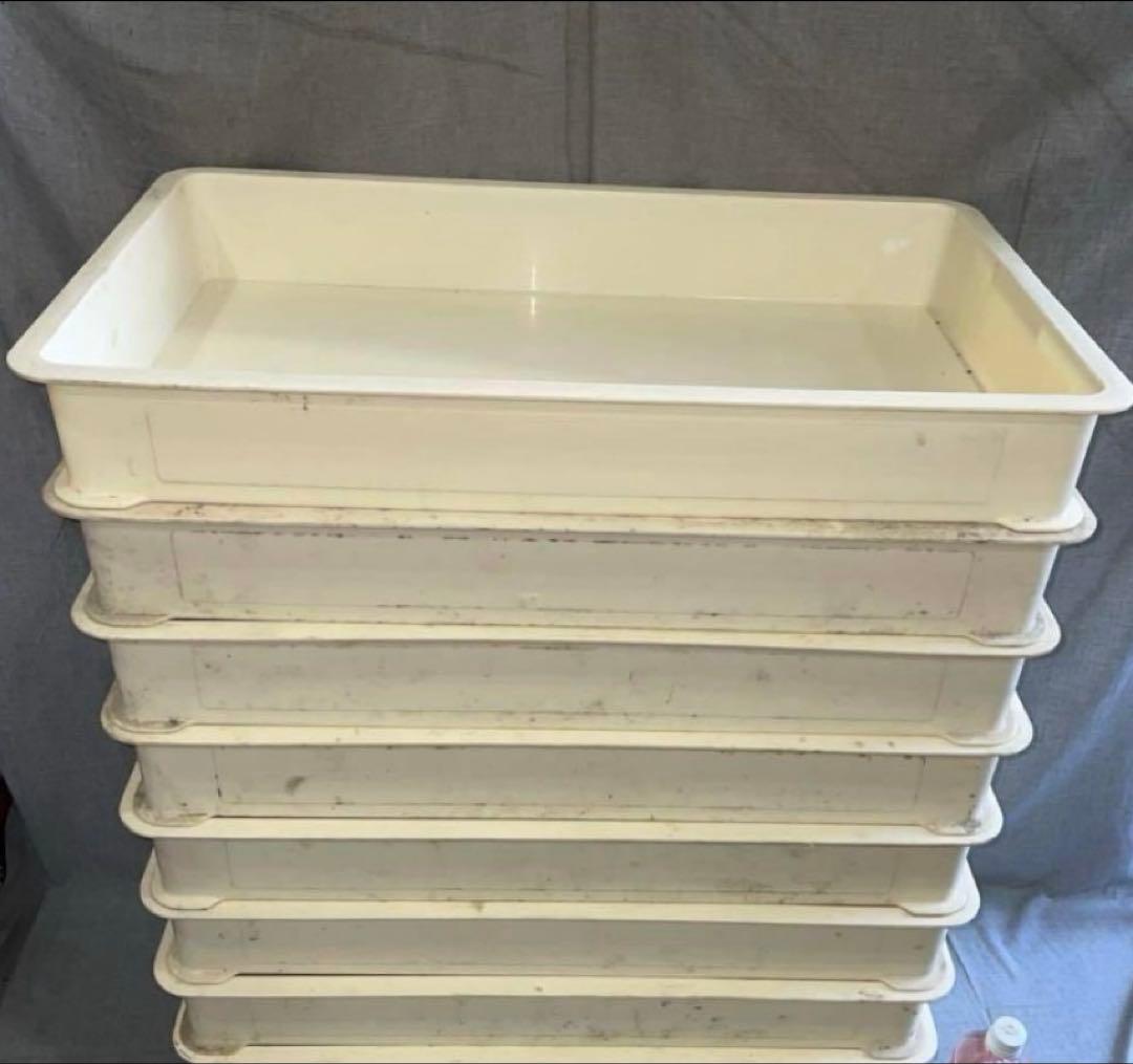 ブンタロウ、7個　業務用 厨房 フードテナー 番重 ばんじゅう　リスのプ