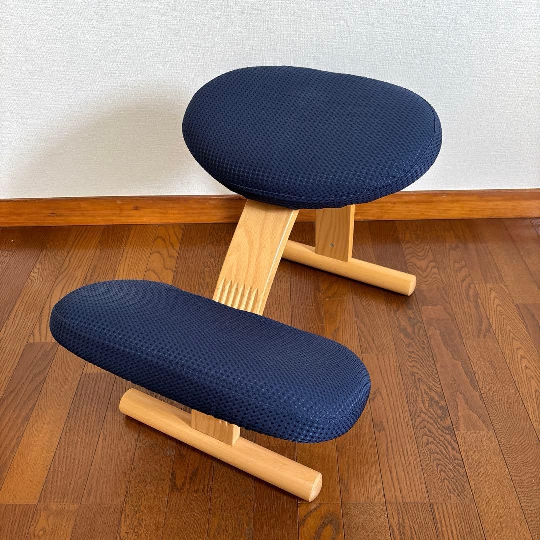 【美品】balans Easy バランスイージー ネイビー 通常フレーム