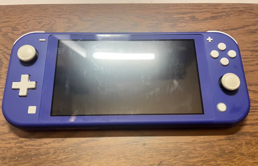 動作確認済み　充電ケーブル付きNintendo Switch lite ブルー