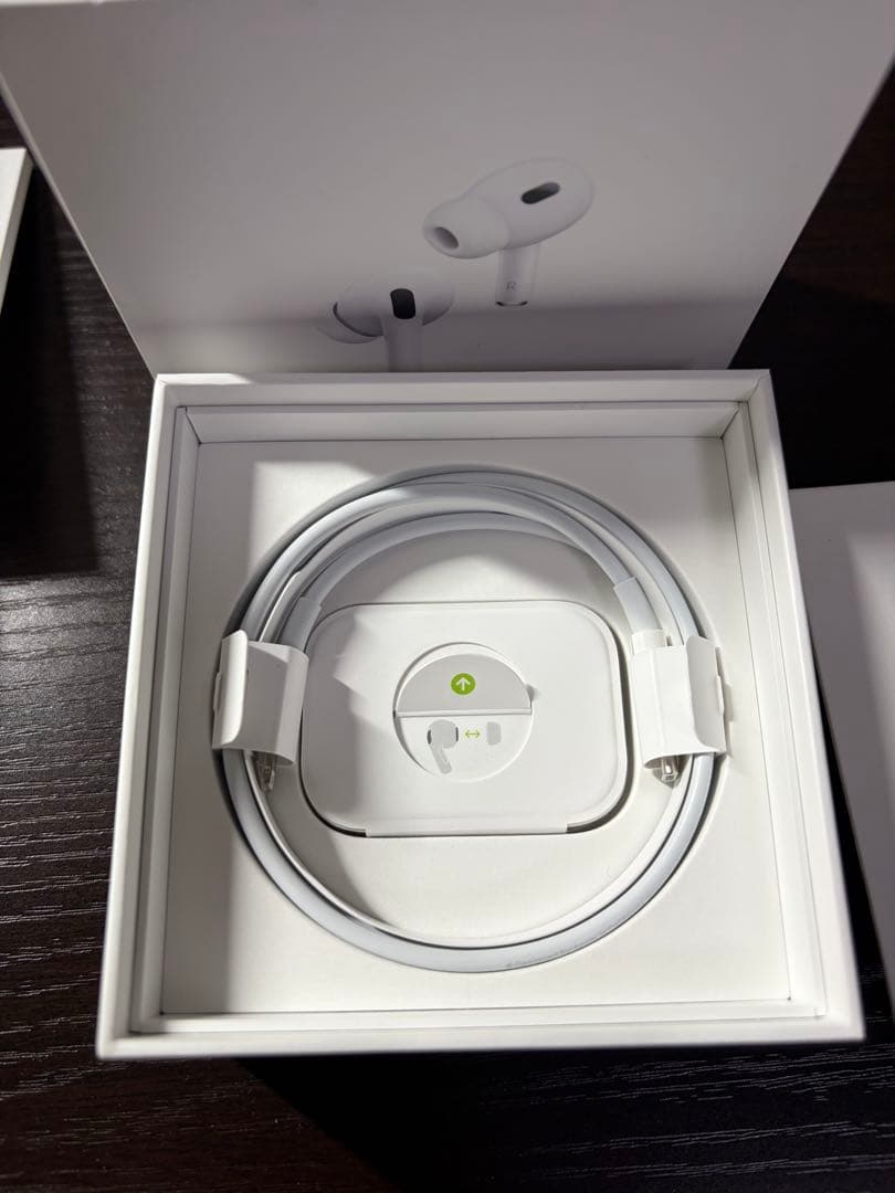 ナ*ス様 AirPodspro2 左耳 ケース 本体 Lightning