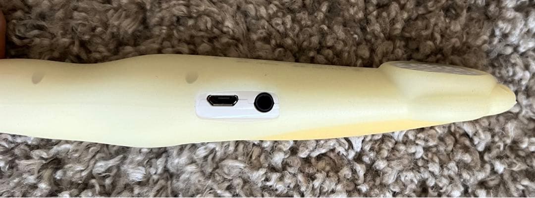 Heinemann G1 (英語絵本110冊+マイヤペン)