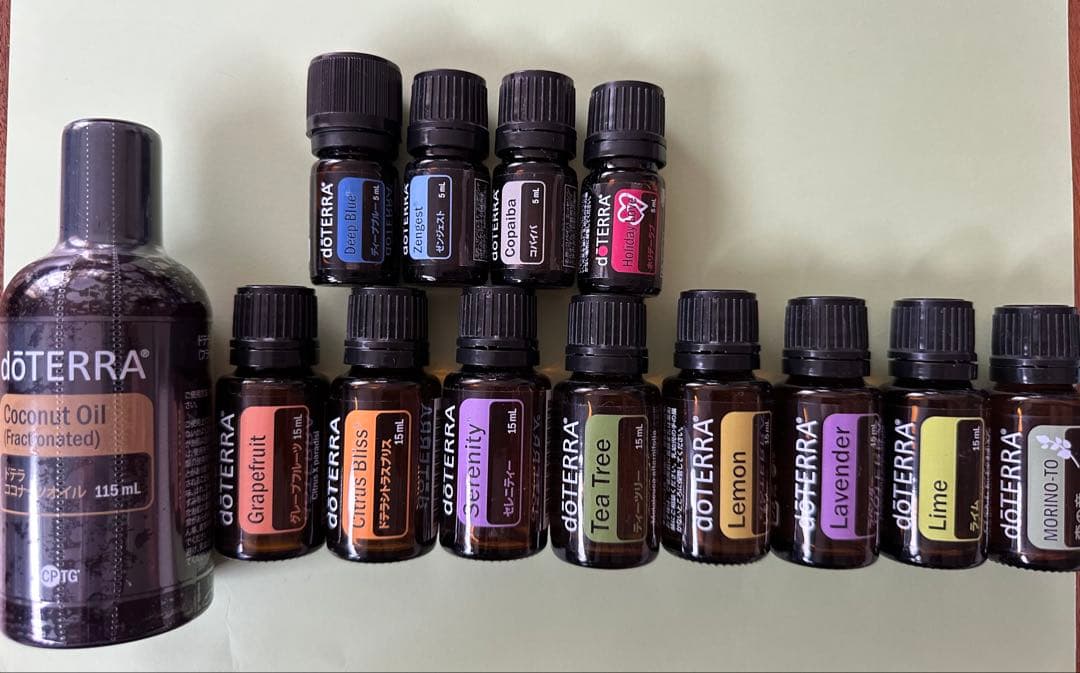 本日値下げします。doTERRA ケースとオイル