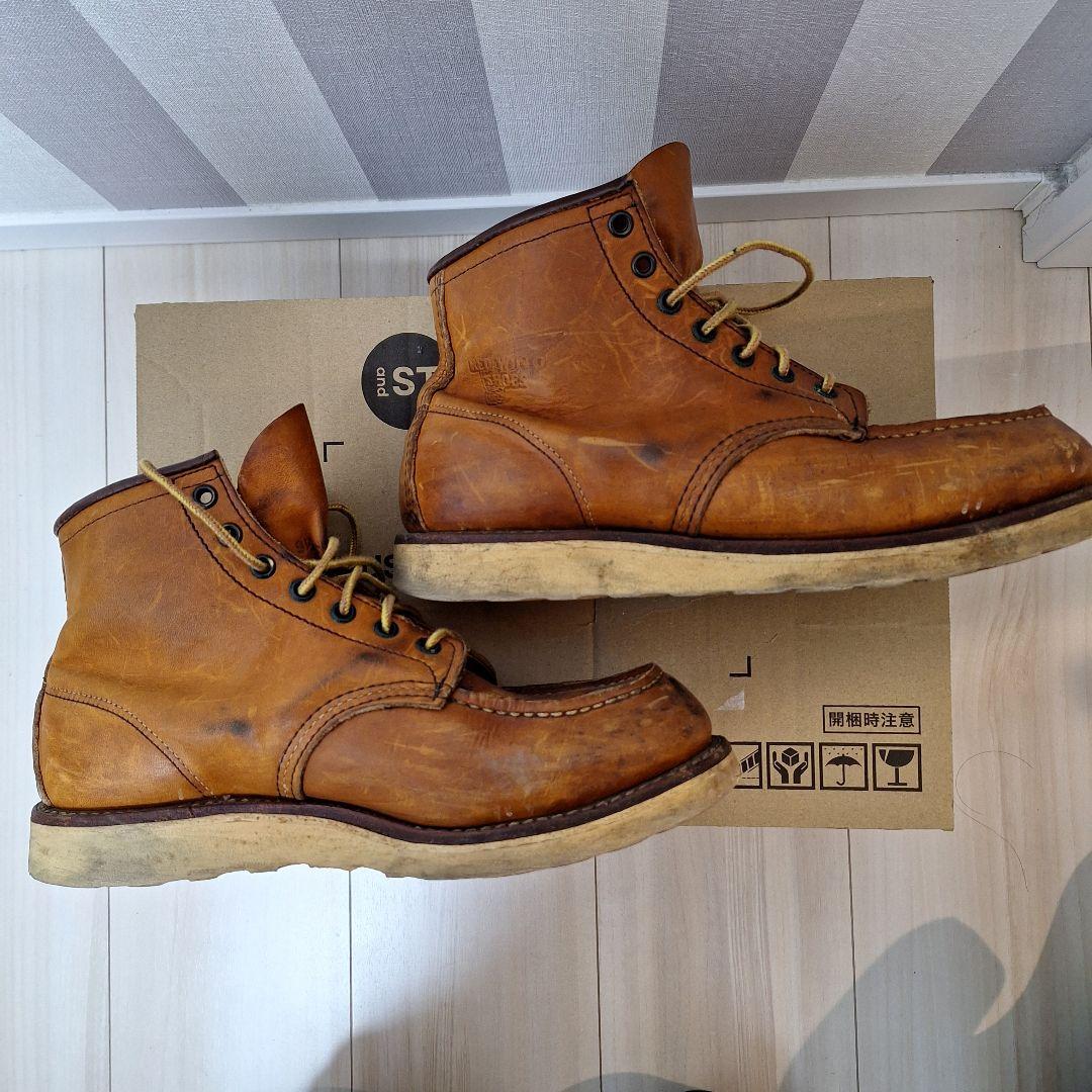 ゆ*ご様 レッドウイング