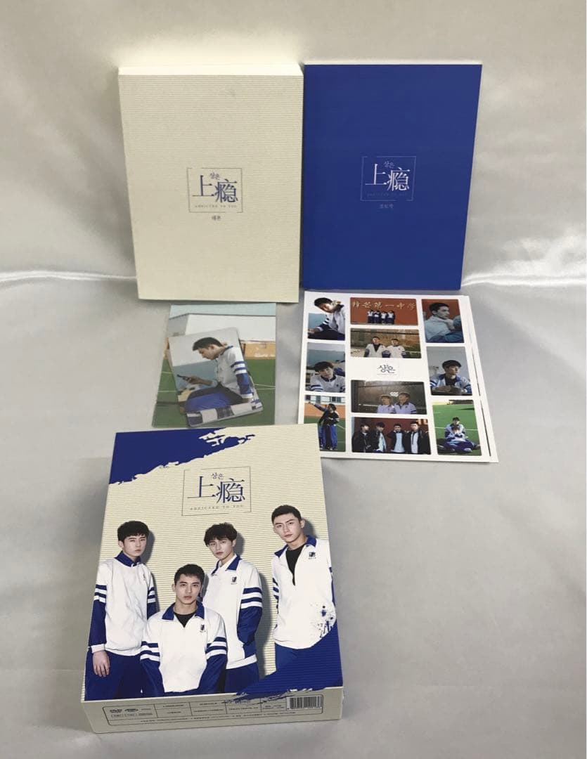 ハイロイン ADDICTED TO YOU [輸入盤]