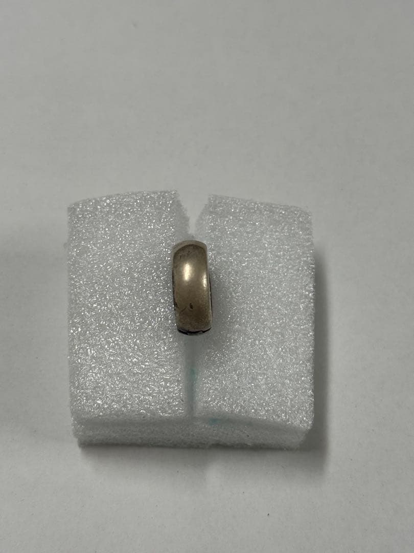 【超希少品】レザーズアンドトレジャーズ　セイクリッドハートピアス　値下げ対応