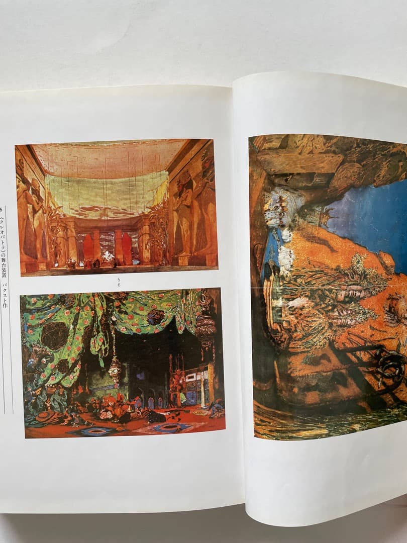 ディアギレフ―ロシア・バレエ団とその時代 (上)