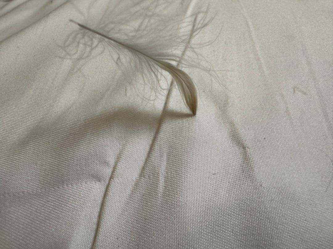 リセノインテリア　Re:CENO NOANA（ノアナ）ソファ