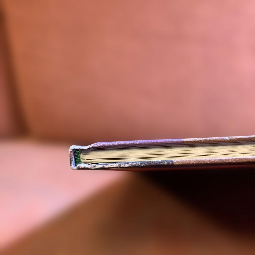 アート・デザイン・音楽 Beatriz Milhazes Paulo Herkenhoff