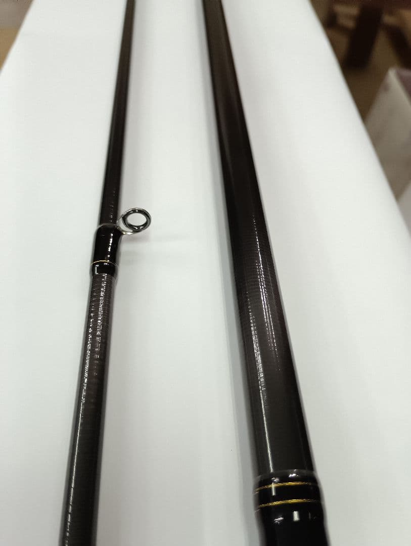 ダイワ　ラテオ100M