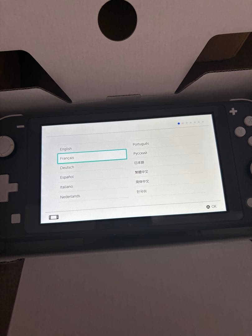 Nintendo Switch Lite グレー