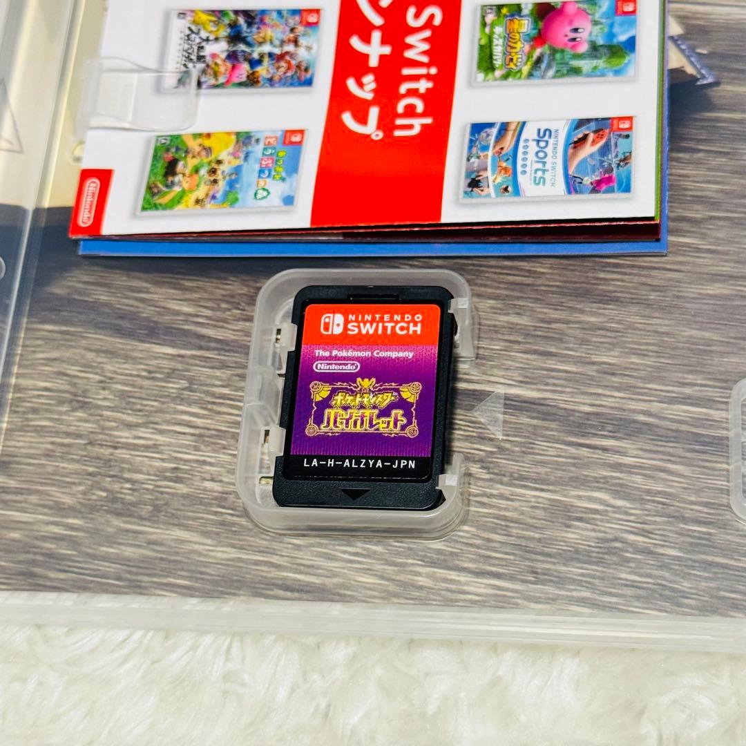 あつまれ どうぶつの森 Nintendo Switch