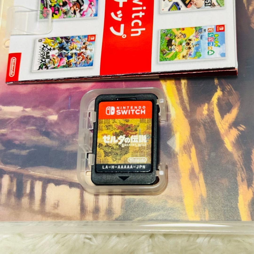 あつまれ どうぶつの森 Nintendo Switch