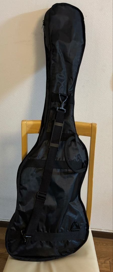 【美品】SX STANDARD SERIES CUSTOM HANDMADE