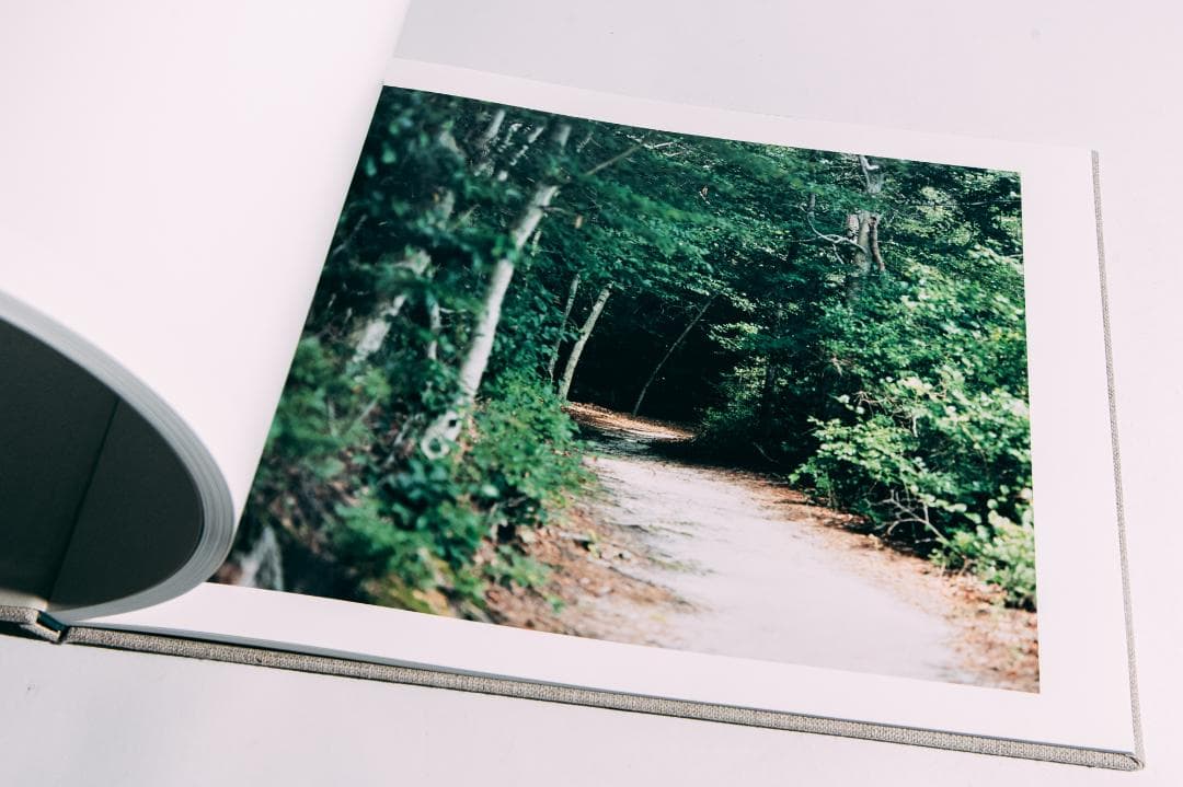 知覚の感光板　鈴木理策　Risaku Suzuki