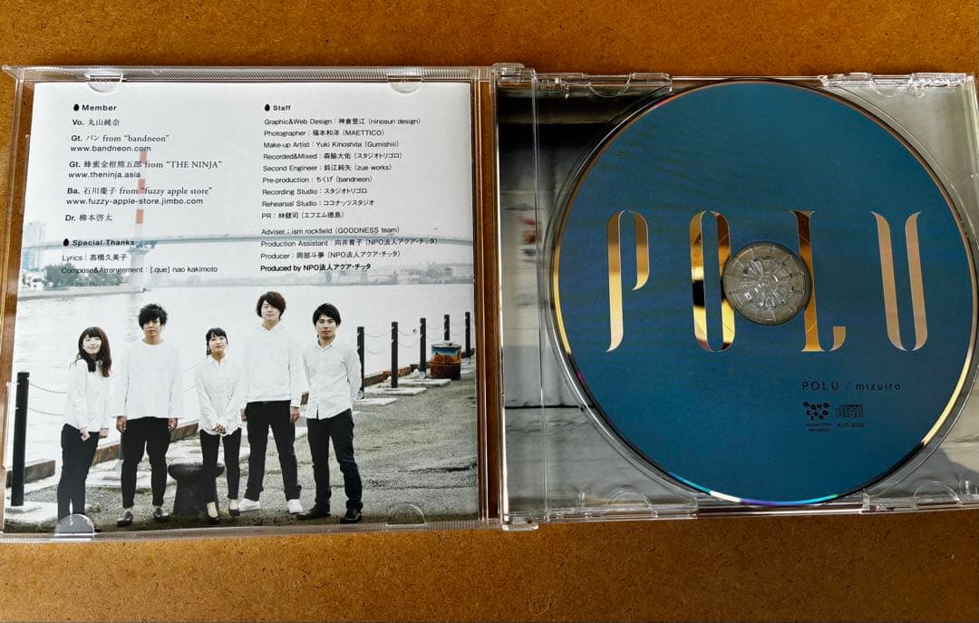 丸山純奈　POLE CD•フライヤー