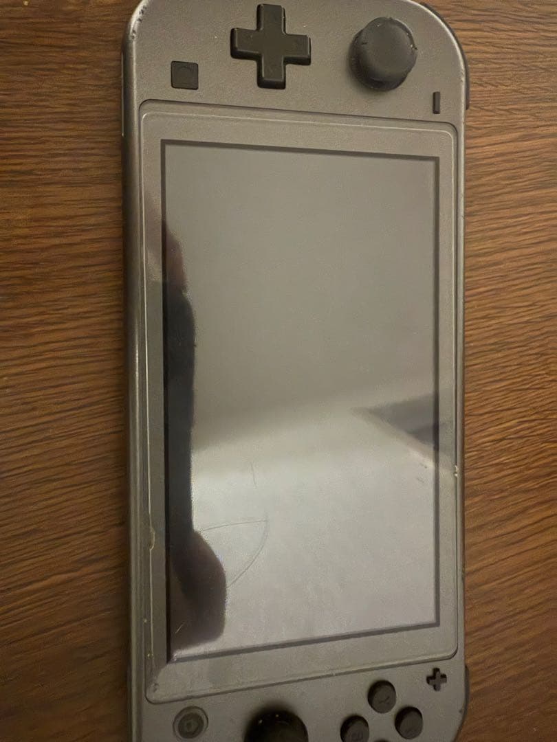 Nintendo Switch Lite グレー ディアルガ パルキア