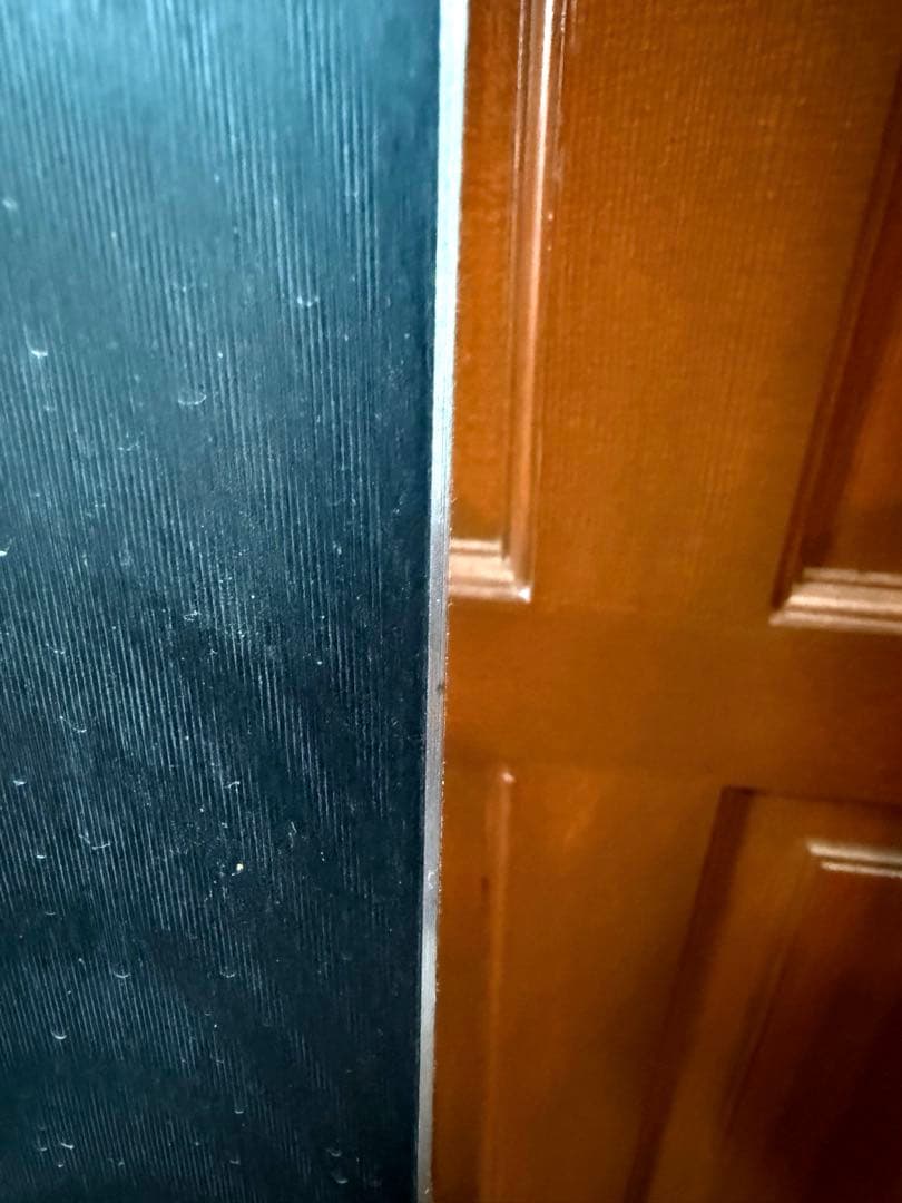 FISCHER GS 188cm スキー板