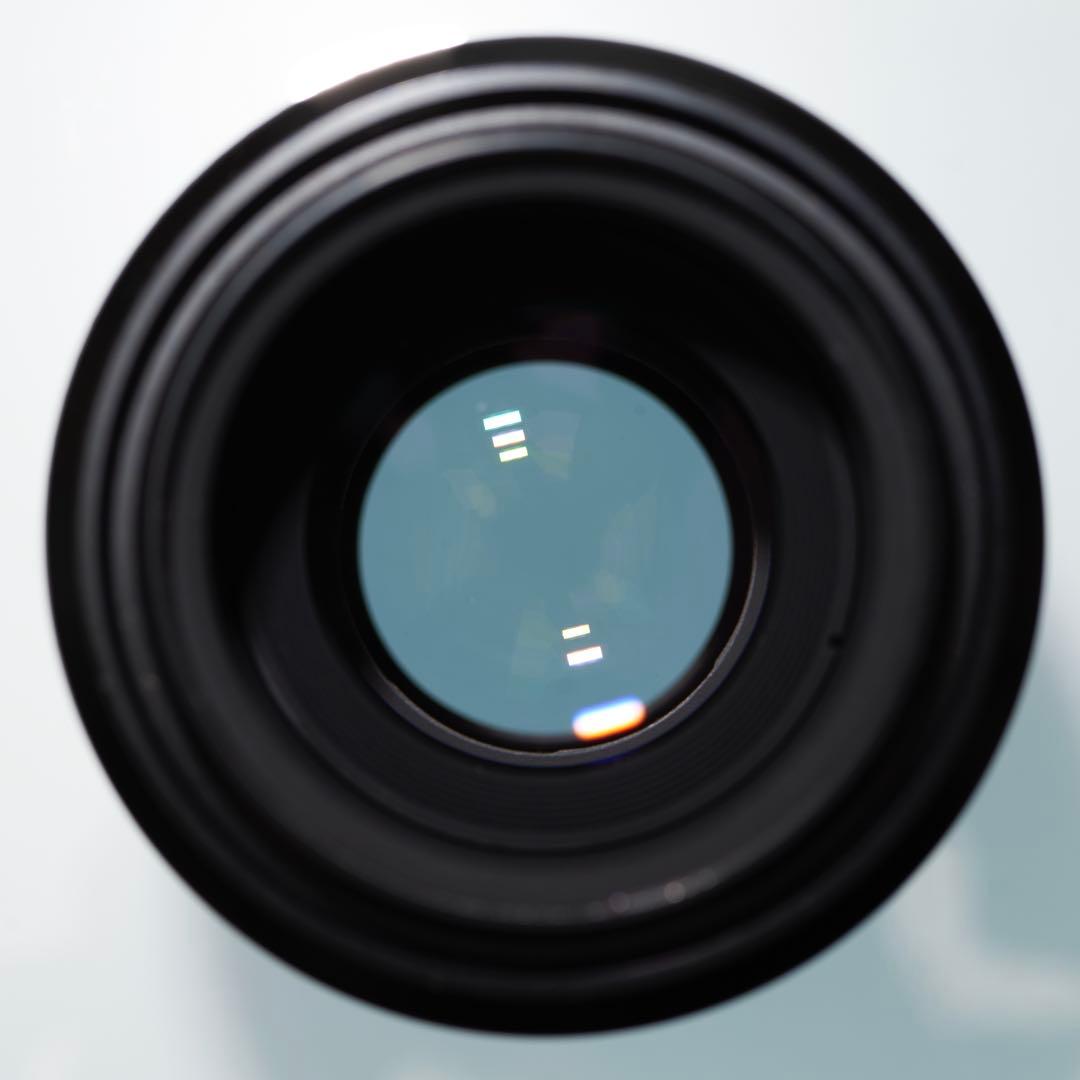 レンズ(単焦点) Nikon AF MICRO NIKKOR 105mm F2.8 D