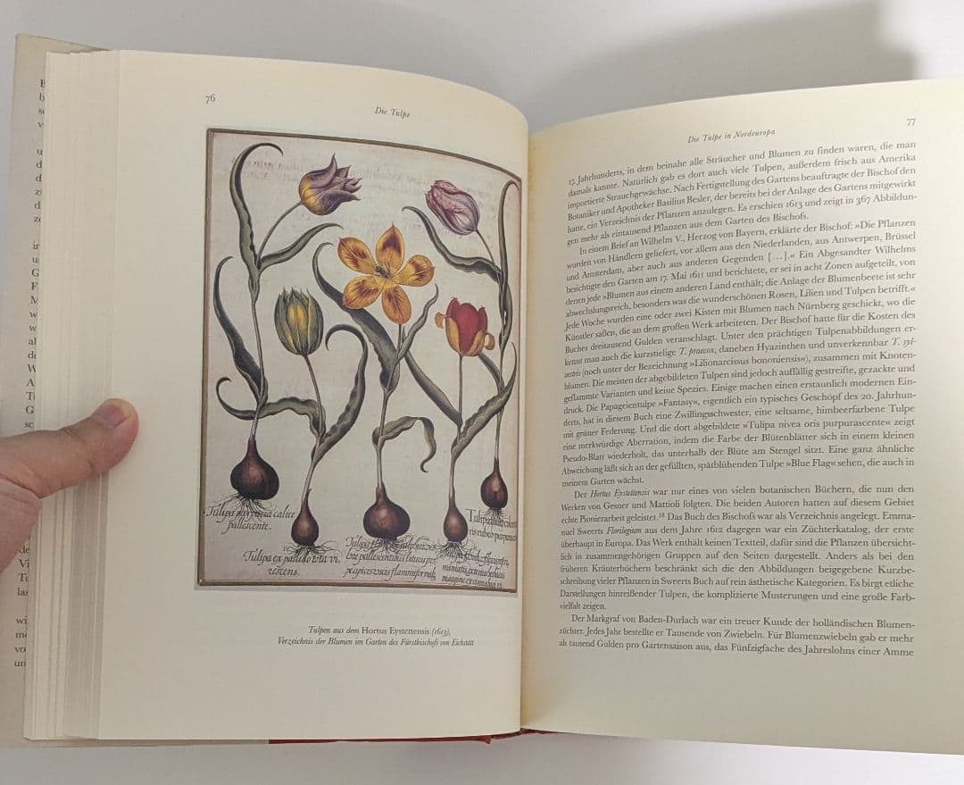 洋書　Die Tulpe. Eine Kulturgeschichte