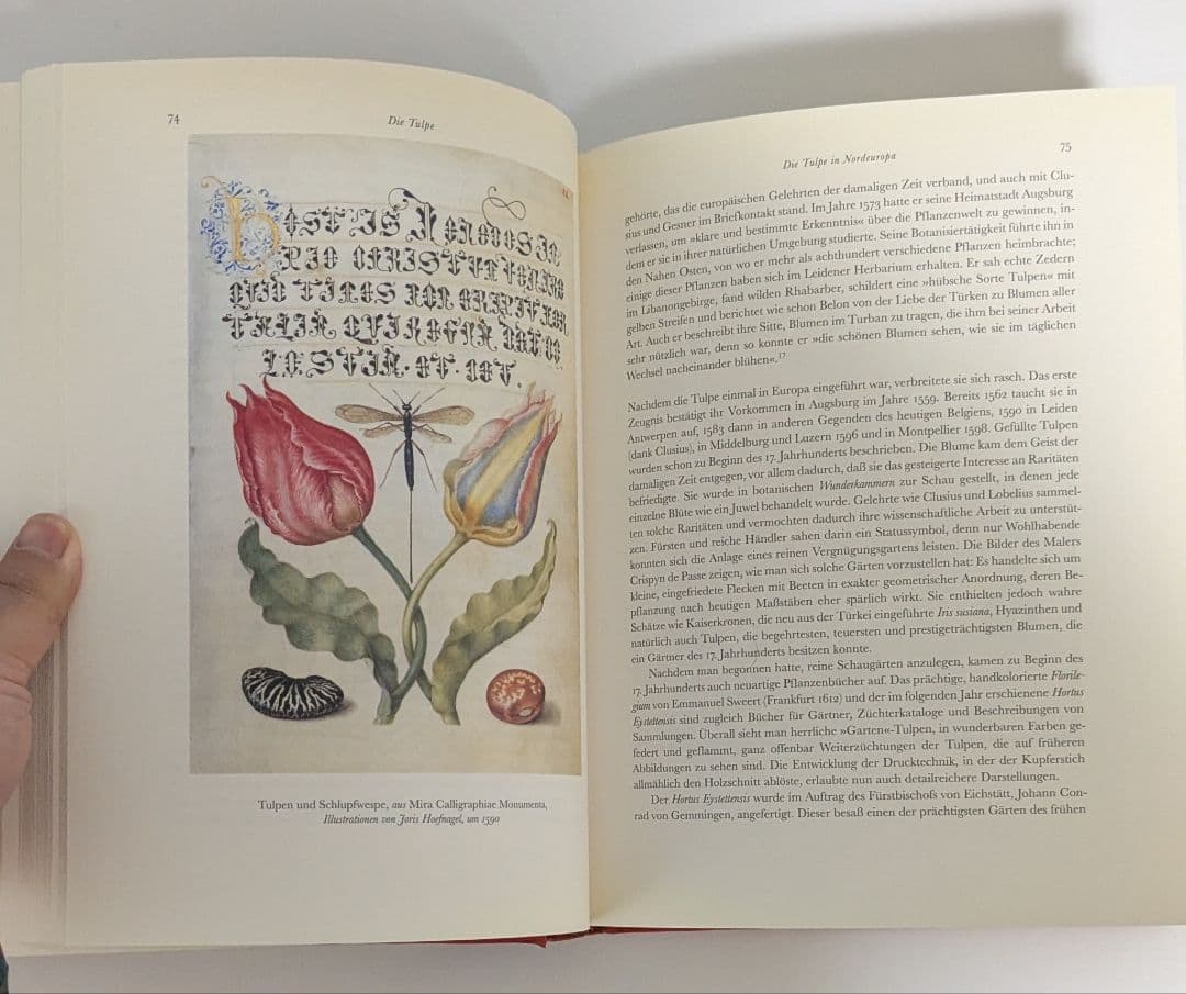 洋書　Die Tulpe. Eine Kulturgeschichte