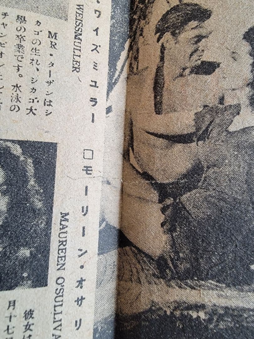 (レア)映画パンフレット　「ターザン」シリーズ　18冊セット