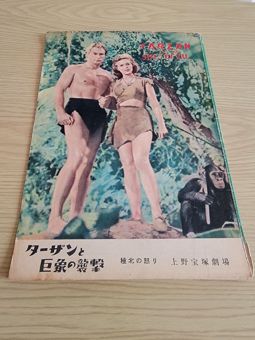 (レア)映画パンフレット　「ターザン」シリーズ　18冊セット