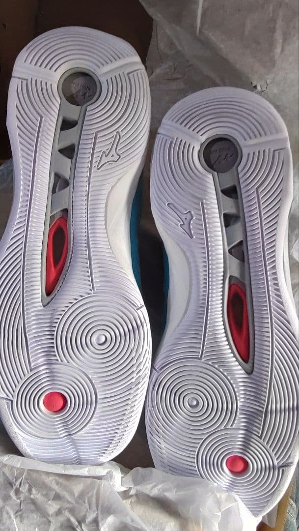 Mizuno バレーボールシューズ 青