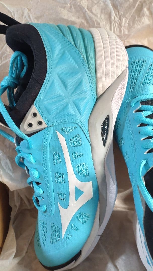 Mizuno バレーボールシューズ 青