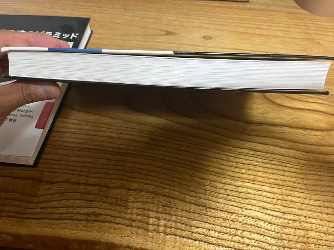 肉体改造のピラミッド 栄養編　トレーニング編　セット