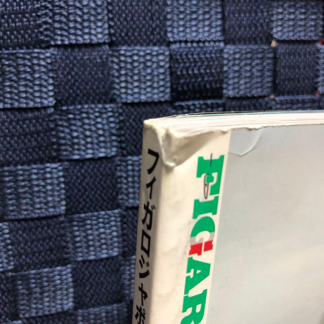 madame FIGARO japon (フィガロジャポン) 2015年10月号