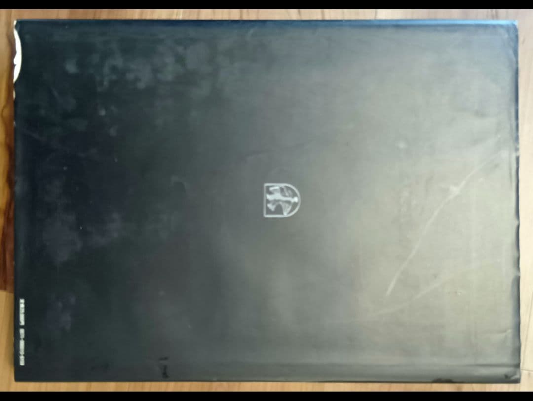 日本刺青芸術 彫芳　入墨　タトーウ