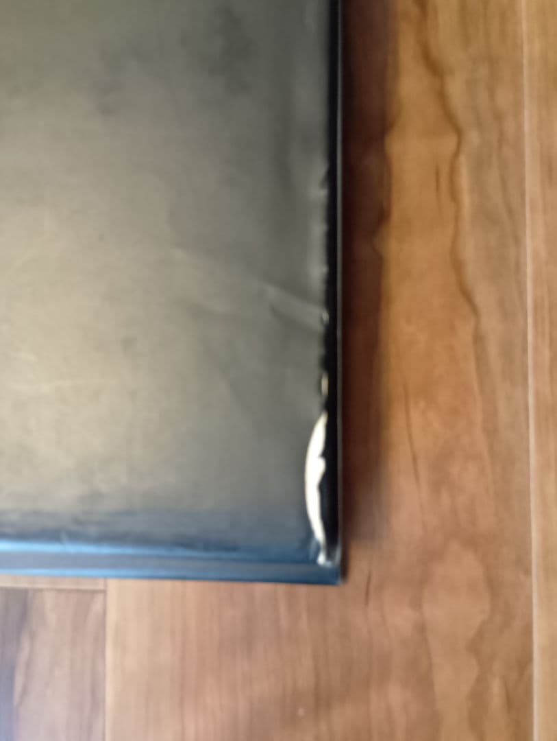 日本刺青芸術 彫芳　入墨　タトーウ