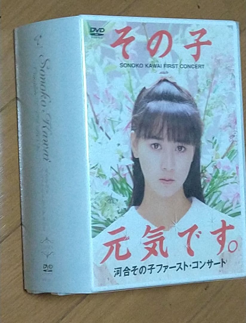 河合その子 コンプリートDVD BOX