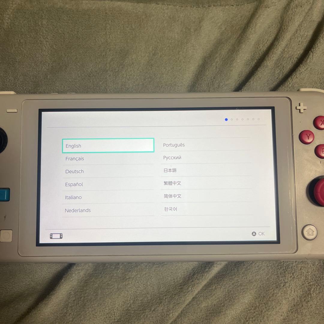 Nintendo Switch Lite グレー　ザシアンザマゼンタ(ジャンク)